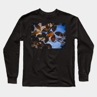 Sunlight And Shadows Long Sleeve T-Shirt